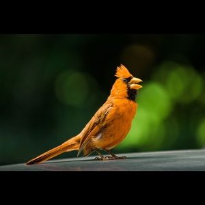 Meet your Posher, Sandra